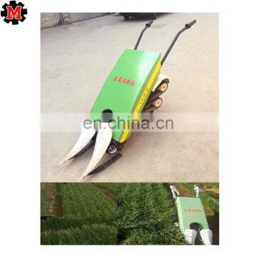 Price for Parsley Celery Leeks chinese chives Harvester