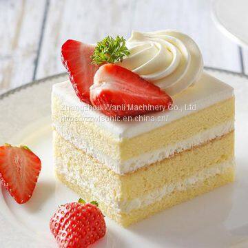 Ultrasonic Cake Cutting Machine Portion Cutting Machine for Meat photo-5