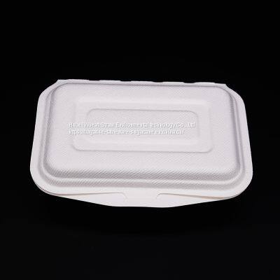 New Hot Disposable Biodegradable 450ML Bagasse Food Box Take away Sugarcane container