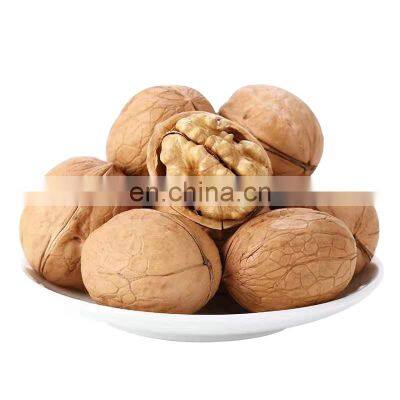 Factory Direct High Quality Dried Fruit Snacks Kernels Without Shell Walnut Kernes for Sales photo-4