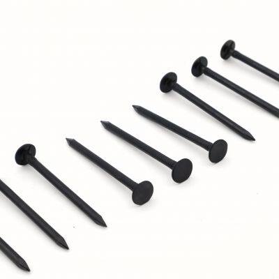 Black Common Nails - Made in China Factory With Mill Test Report Available