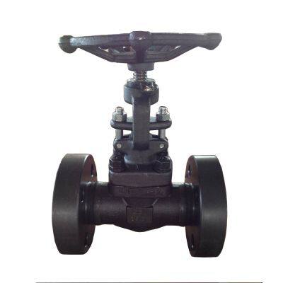 A105 PN25 Gate Valve Flange End 800# Socket Welded F304 Forged Steel Gate Valve for Gas Water Oil Pipe