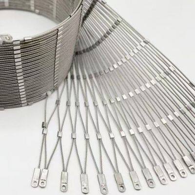 Stainless Steel Wire Mesh with Technical Support for Custom Projects