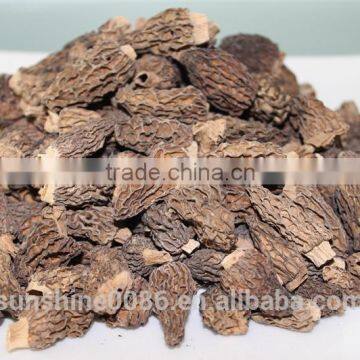 High Quality Edible Morel Mushroom with Free Shipping