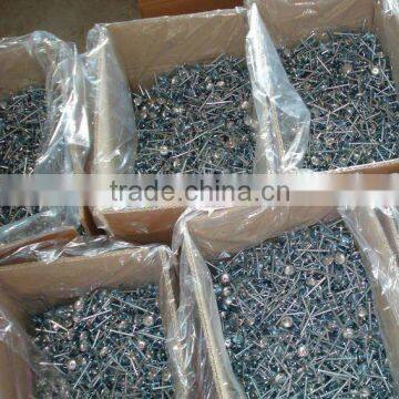 common nail/roofing nails