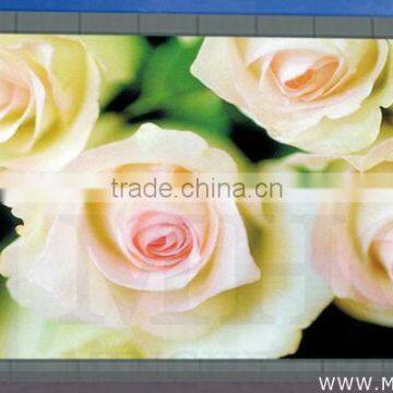 led display concert background