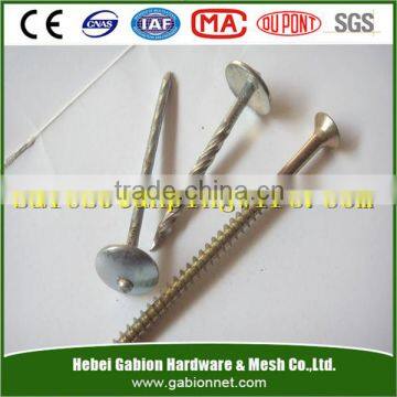 direct factory cheap galvanized steel roofing nails