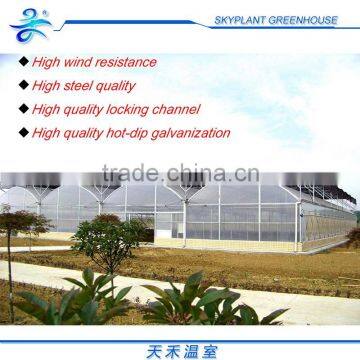 Hot saled cheap PE Plastic Film Greenhouse