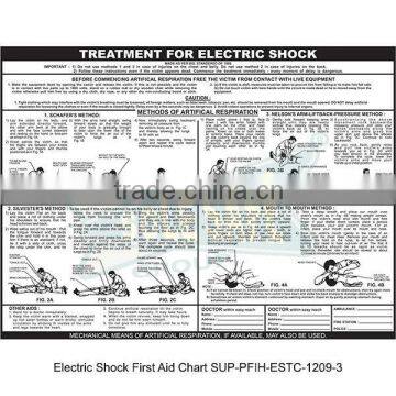 Electric Shock First Aid Chart ( SUP-PFIH-ESTC-1209-3 )