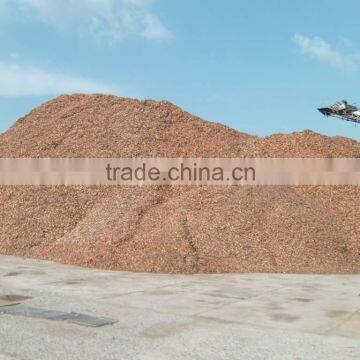 Eucalyptus wood chips Viet Nam