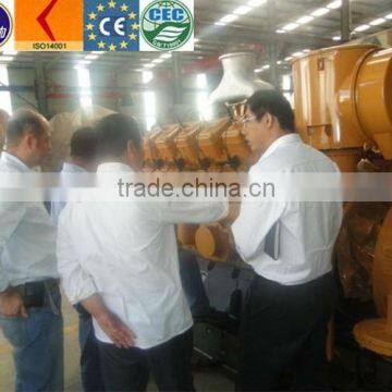 150kw Coal Bed Gas Generator Set