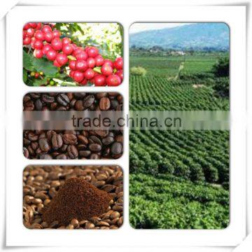 VIETNAM ROBUSTA COFFEE