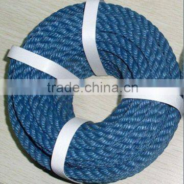 PE BLUE ROPE