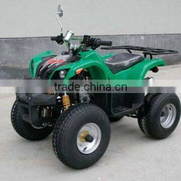 110CC QUAD BIKE LWATV-201