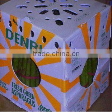 Eco-friendly corflute/core flute plastic/pp corrugated vegetable box for asparagus