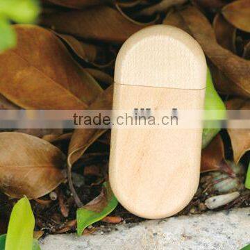 2013 Top seller free sample eco bamboo or wood usb,USB 2.0