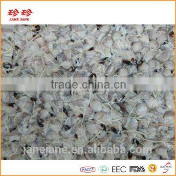 Frozen Squid Beak - Ommastrephes Bartrami photo-3