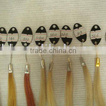 Human Hair Color Plate