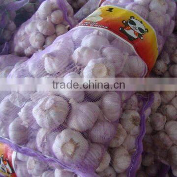 Purple Mesh Bag Fresh Normal White Garlic photo-2