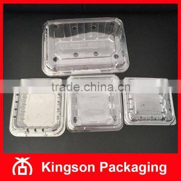 Disposable Transparent Plastic Container Box for Fruit