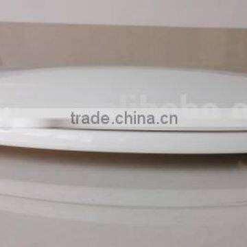 Good Quality Elongated Toilet Bidets Soft Close-FG420PP