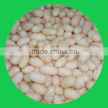 Canned White Kidney Beans in Brine 425ml