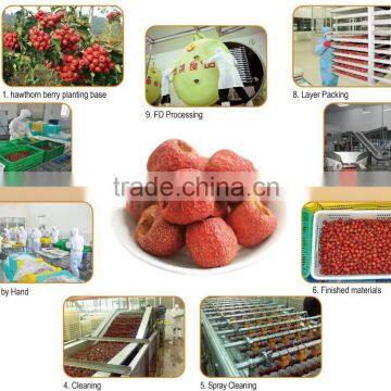 In Order to Healthy Select Organic Health Quick-frozen Hawthorn Berry Fresh Fruit photo-6
