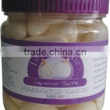 Chilli Paste ginger Paste galic paste 185g