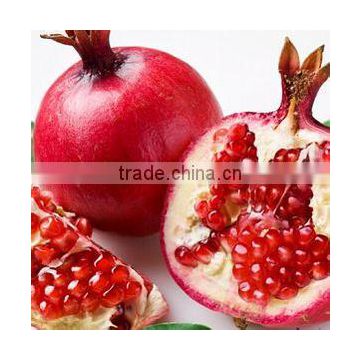 GMP Wholesale Pomegranate Extract Powder