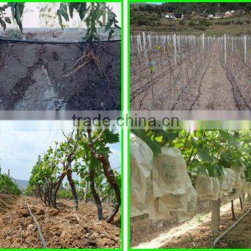Top Selling Low Price Farm Drip Irrigation Pipe for Garden/forestry photo-4