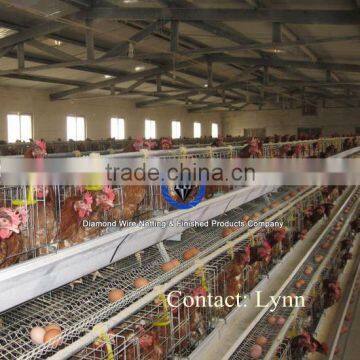 Kenya Popular Anti-rust Metal Egg Layer Chicken Battery Cage