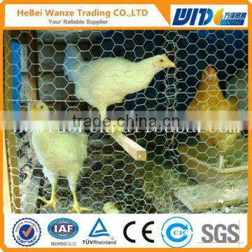 High quality chicken wire fence home depot cheap chicken wire fence home depot chicken wire fence home depot(CHINA SUPPLIER)