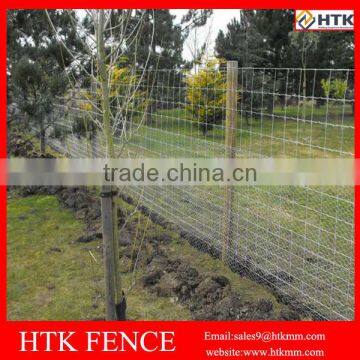 Easy Installation Garden Wire Mesh Fence/Field Fence photo-5