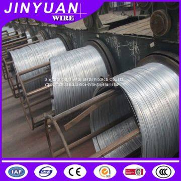 Electro Galvanized Iron Wire photo-5