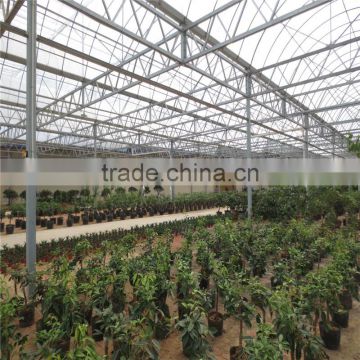 Low cost agricultural greenhouse , plastic film or polycarbonate green house