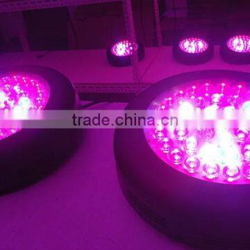 Cheap 135w Professional UFO Led Grow Light With Optical Lens for Medicinal Plants and Flower photo-6