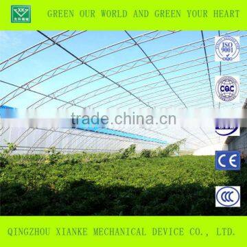 Hot Sale Agricultural Muiti Span Greenhouse photo-2