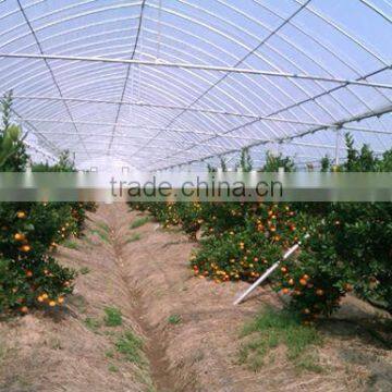 Single Layer and Multi-Span Agricultural Greenhouses Type Greenhouse Film Repair