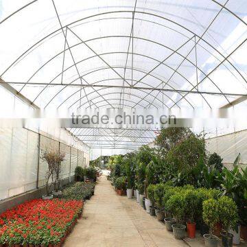 Multi Span Vegetable Commercial Greenhouse Covered By Polythene Film photo-5