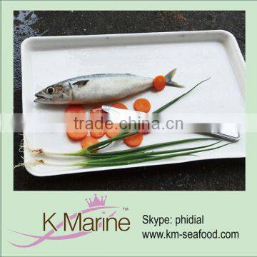 Fresh seafood frozen horse mackerel