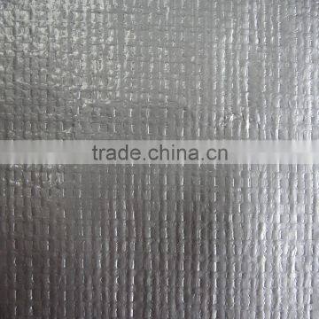 HDPE tarpaulin plastic silver color 160GSM