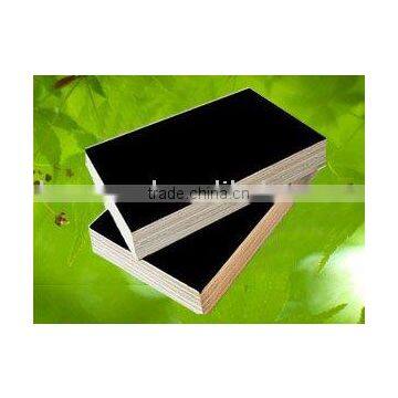 High quality film faced plywood