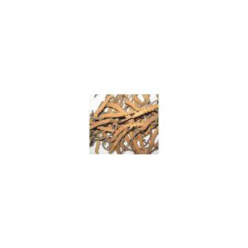 Cordyceps Sinensis Extract-Polysaccharides & Cordycepic acid