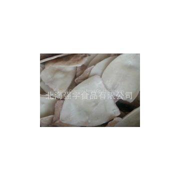 Frozen Squid Fillet photo-2