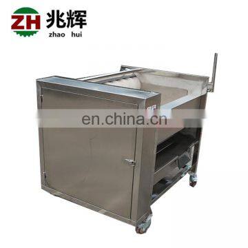 ZH-800S Zhaohui Automatic Ginger Peeler Beet Peeling Machine Potato Peeler Machine Price photo-6
