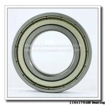 110x170x28 Bearing