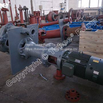 Vertical Sump Slurry Pump Manufacturer in China