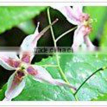 Epimedium Extract/Brevicornum Maxim/Icariin /CASNo.:489-32-7