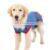 Comfortable Cute All Luxury Warm Wholesale Hoodie Designer Cotton Pet Dog Clothes photo-4