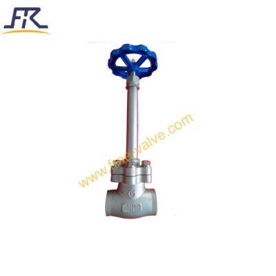 Cryogenic Globe Valve